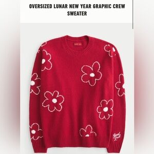 EUC - HOLLISTER OVERSIZED LUNAR NEW YEAR GRAPHIC CREW SWEATER - SMALL